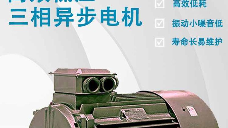 佛山三相异步电机价格波动背后，是行业生态的深层变化